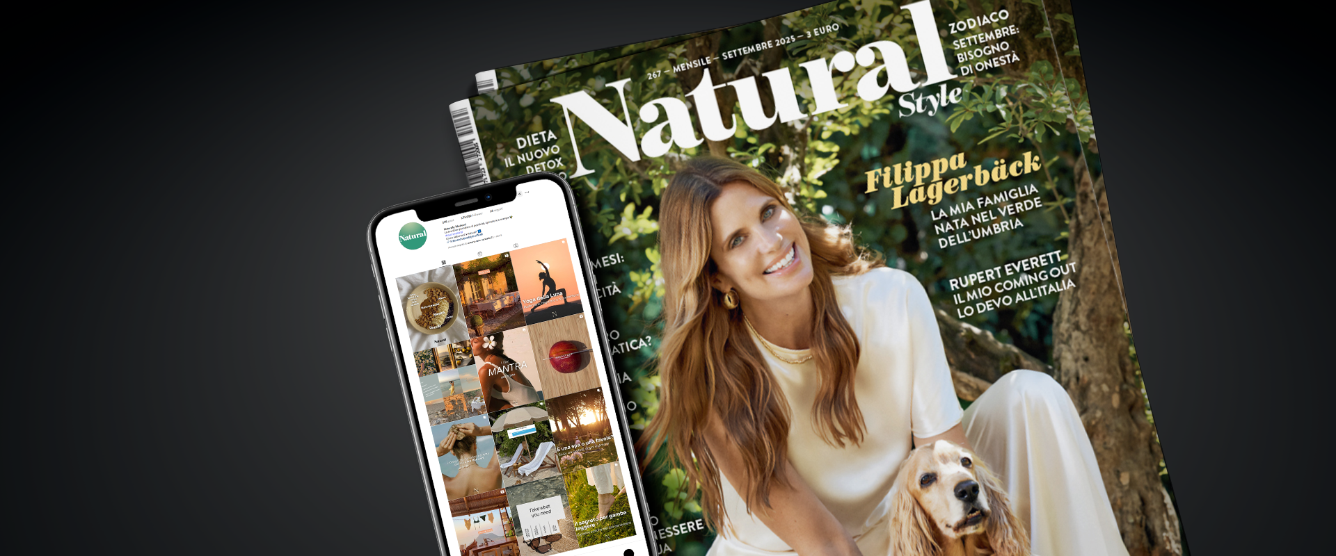 header natural style